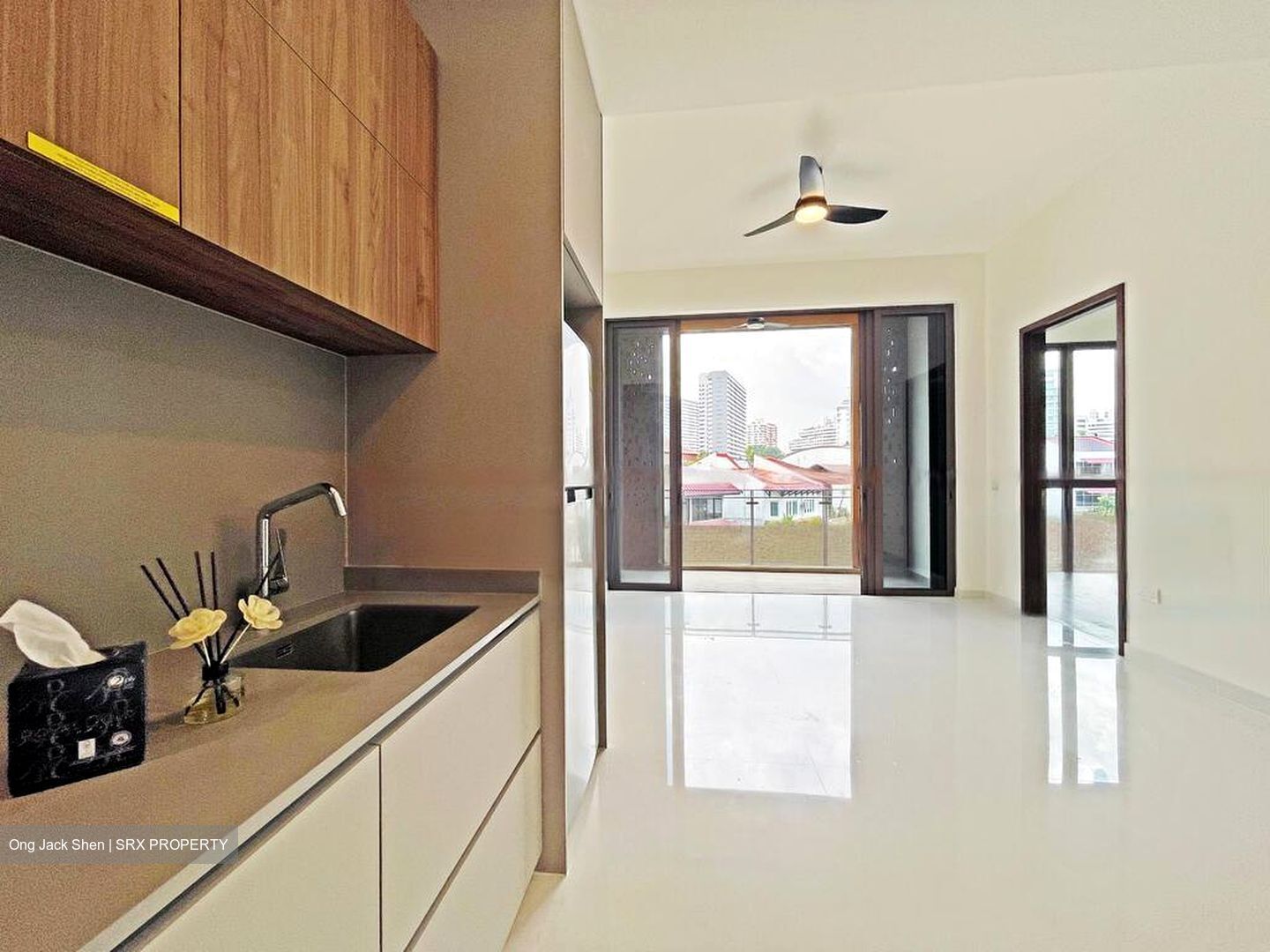 Parksuites (D10), Apartment #466320641